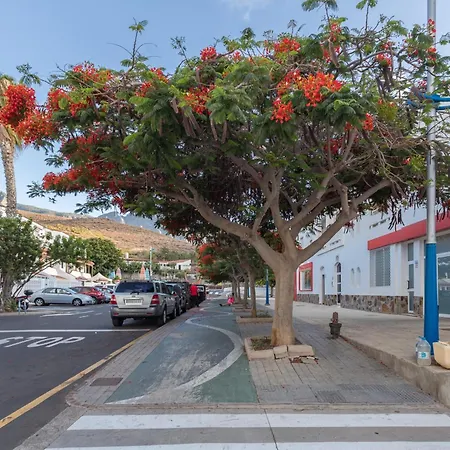 Residencial La Palmita Con Piscina Διαμέρισμα